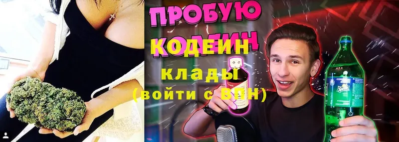 где можно купить наркотик  гидра ССЫЛКА  Codein Purple Drank  Киренск 